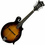 SX SMF860 Vintage Sunburst