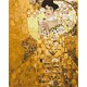 slikanje po brojevima 50x40 Portrait of Adele Bloch-Bauer I. Gustav Klimt sa drvenim okvirom i setom za slikanje
