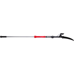 Proline 40039