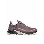 Tenisice za trčanje Salomon Alphacross 5 Gtx W GORE-TEX 473110 23 W0 Ljubičasta