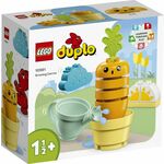 LEGO® DUPLO®: Uzgoj mrkve (10981)