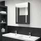 LED kupaonski ormarić s ogledalom sjajni crni 50 x 13 x 70 cm