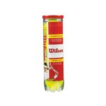 Wilson championship 4 pack tennis ball wrt110000