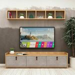 TV jedinica, Sleppa