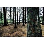 Highlander COM028 Lensatic kompas