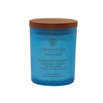 Chesapeake Bay svijeća small Confidence & Freedom (oak moss Aer)