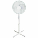 Globo VAN 0421