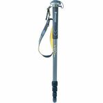 Vanguard monopod Espod AM-204