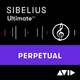 AVID Sibelius Ultimate Perpetual with 1Y Updates and Support (Digitalni proizvod)