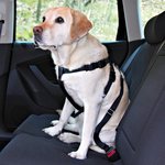 Trixie sigurnosni pojas za auto, L