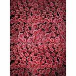 Click Props Background Vinyl with Print Roses Distressed Pink 2.13x2.9m studijska foto pozadina s grafikom
