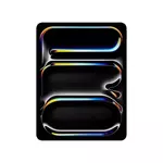 Apple iPad 13-inch Pro WiFi 2TB with Standard glass - Space Black