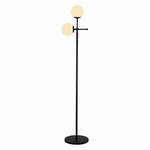 Crna podna lampa Squid Lighting Kruva, visina 174 cm