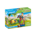 Playmobil 70523