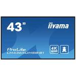 Dis Public 43 Iiyama LH4365UHSB-B1 UHD
