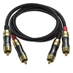 FiiO LR-RCA2