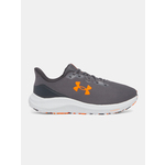 Men's shoes Under Armour UA Charged Pursuit 4 - Men's siva