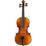 Pearl River PR-V01 4/4 Akustična violina