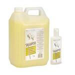 Gottlieb Egg Protein Šampon - Beeztees - 300 ml
