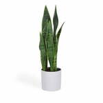 Umjetna biljka (visina 55 cm) Sansevieria – Kave Home