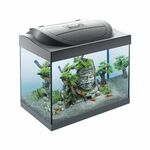 Tetra akvarij Starter Line LED za kozice crni 30 l