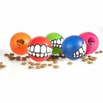 Igračka za Poslastice - Flossy Grinz Ball - Rogz - Small - Zelena