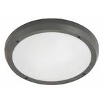 Rábalux vanjska stropna lampa (8049)