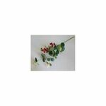 GRANA EUKALIPTUS S BOBICAMA 55 CM; ZELENA/CRVENA