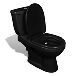 vidaXL Crni WC s vodokotlićem