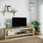 TV jedinica, TV302