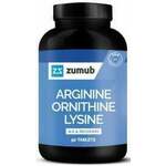 ARGININ ORNITIN LIZIN
