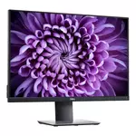 LCD Dell 24" P2421; black/silver;1920x1200, 1000:1, 300 cd/m2, VGA, DVI, HDMI, DisplayPort, USB Hub, AG