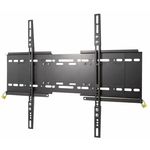 Transmedia HP32-L, 50"-100"