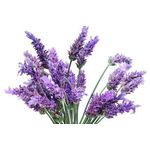 Aromara Hidrolat lavanda