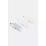 Čarape Tommy Hilfiger 3-pack za žene, 701232984