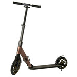 Sklopivi trotinet PB Carbon, 250mm, ZLATO